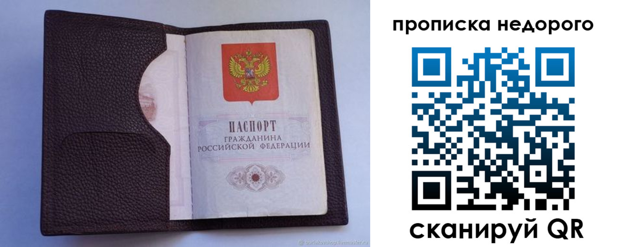 прописка законно в Александрове